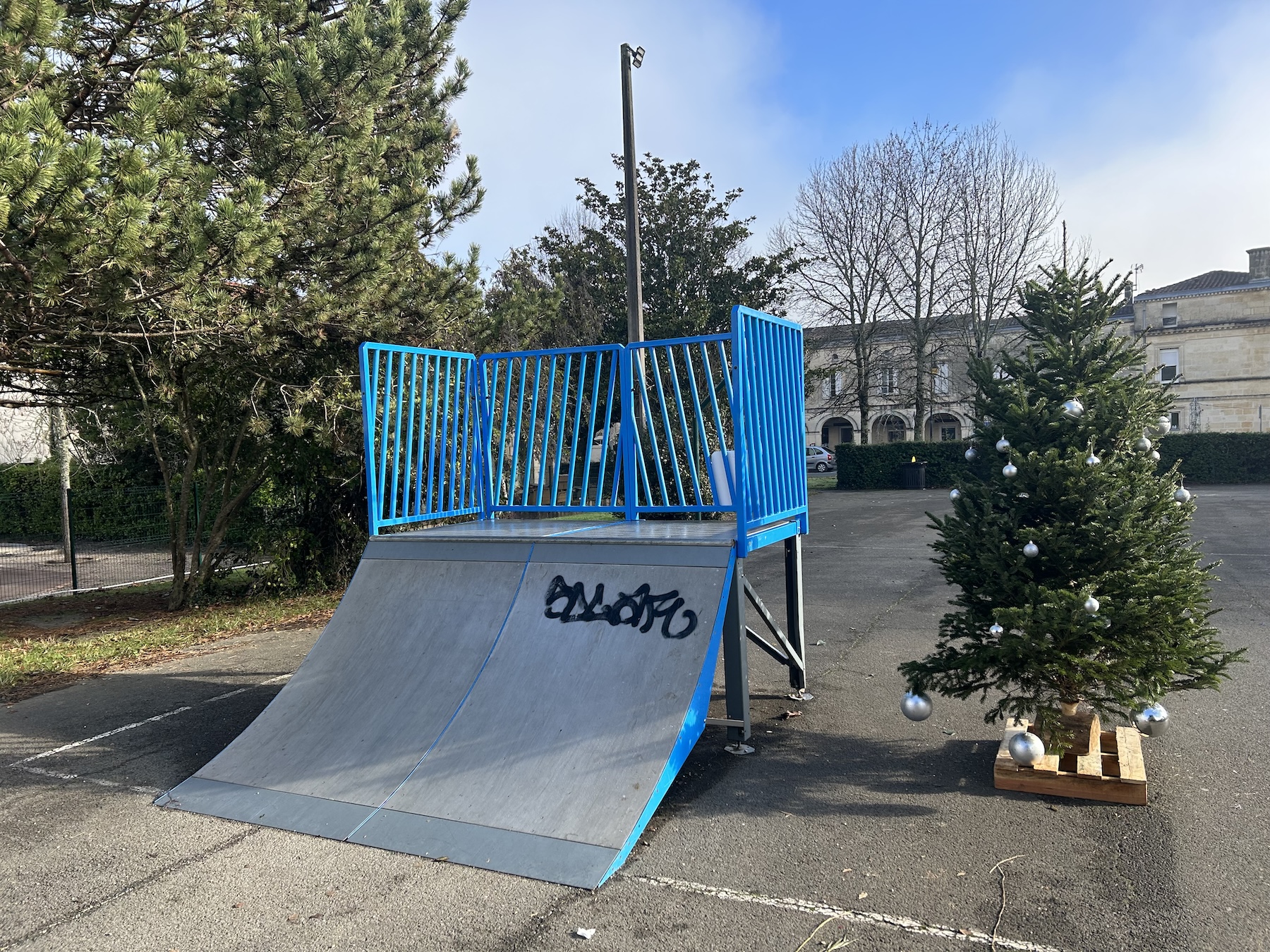 Sallebœuf skatepark